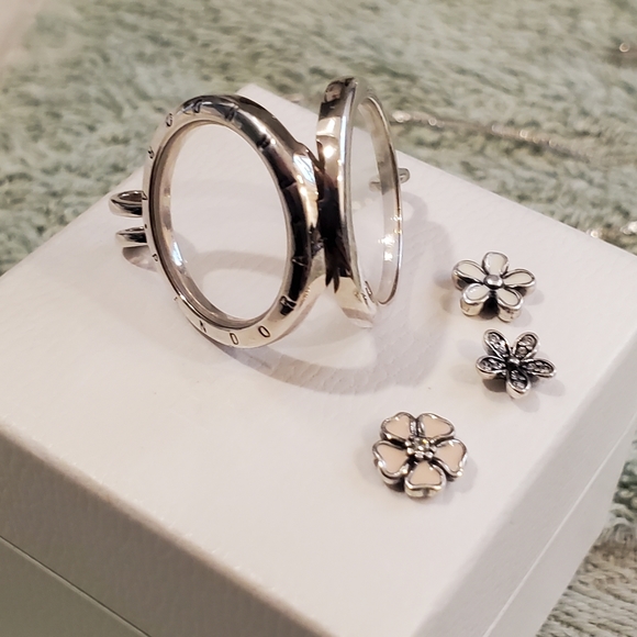 Pandora Floating Locket Necklace - Picture 12 of 14